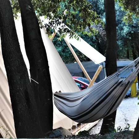 Glamping Tent Jugo * רוביני