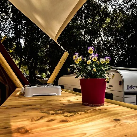 Glamping Tent Jugo רוביני